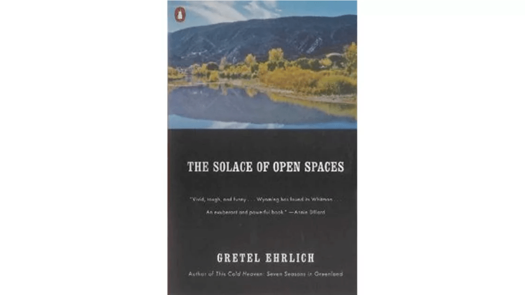 Our Pragmatic Values – Erraticus